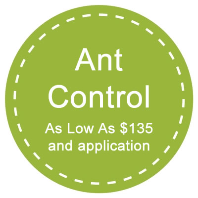 Ant control coupon
