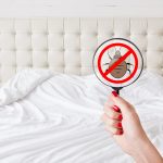 Don’t Get Bugged By Bedbugs