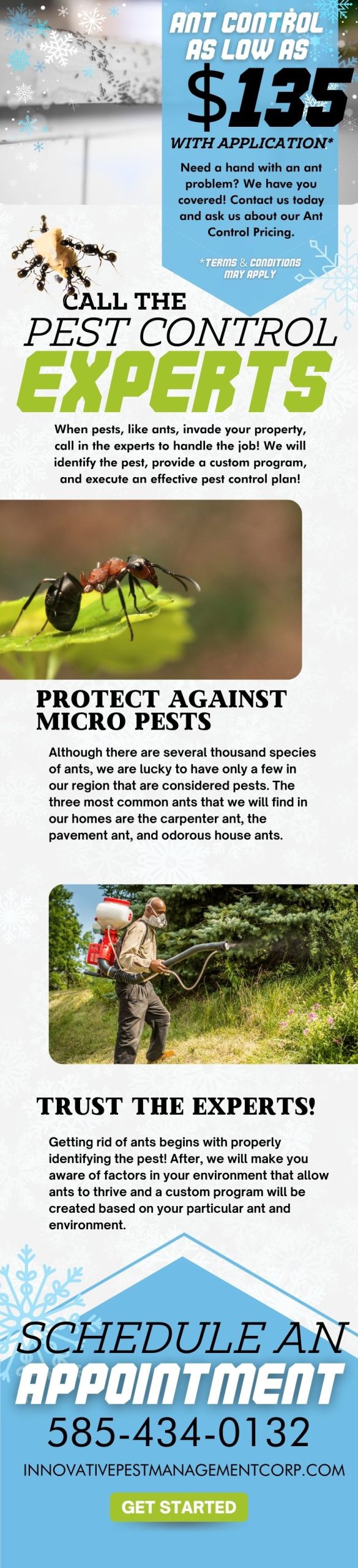 Call the Pest Control Experts! 3