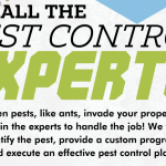 Call the Pest Control Experts!