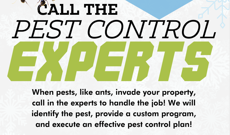 Read more about the article Call the Pest Control Experts!