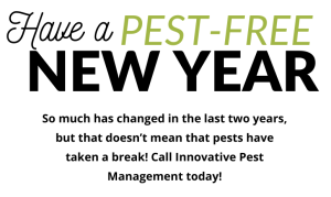 pest-free new year