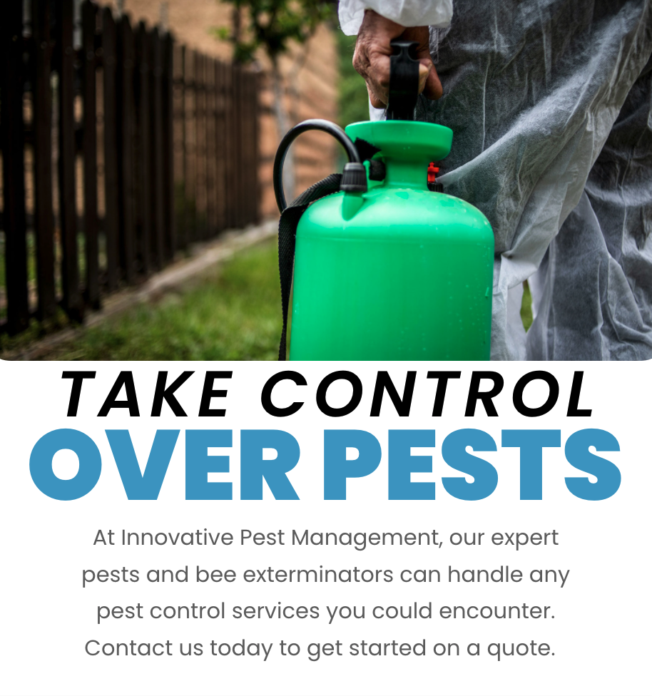 Read more about the article Take Control Over Pests!