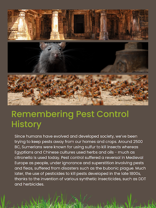 Remembering Pest Control History