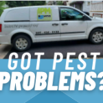 Got Pest Problems?