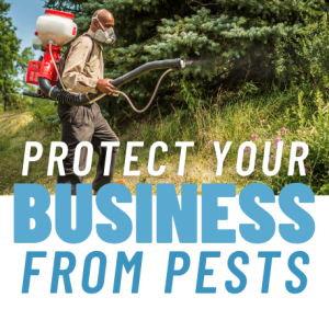 Read more about the article Protect Your Business from Pests!