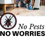 No Pests, No Worries!