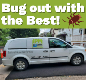 Read more about the article Bug Out with the Best!
